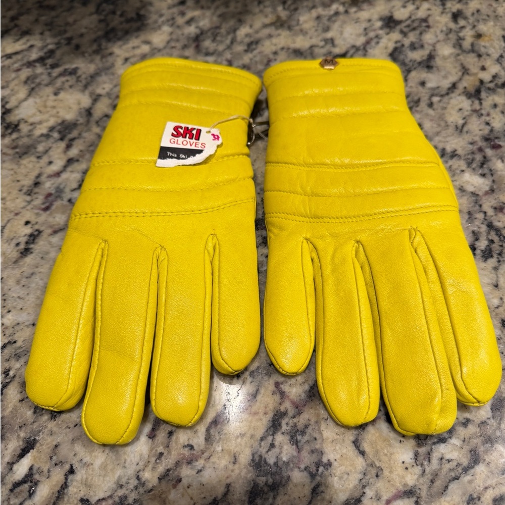 NWT Vintage Aris Ski Gloves